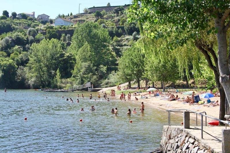 Quinta De Catapeixe Douro River Magrelos ภายนอก รูปภาพ