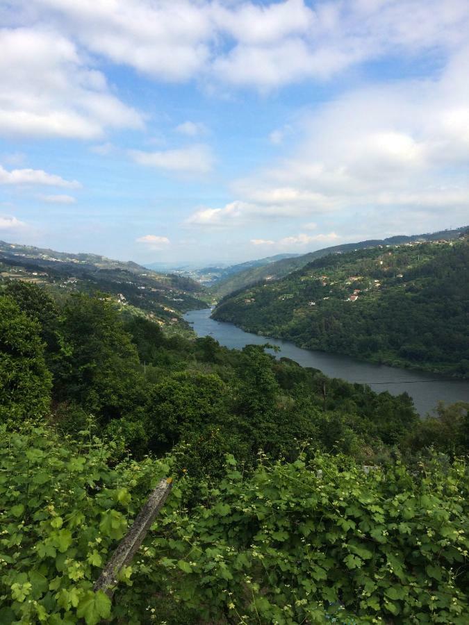Quinta De Catapeixe Douro River Magrelos ภายนอก รูปภาพ
