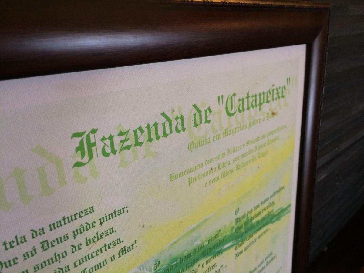 Quinta De Catapeixe Douro River Magrelos ภายนอก รูปภาพ