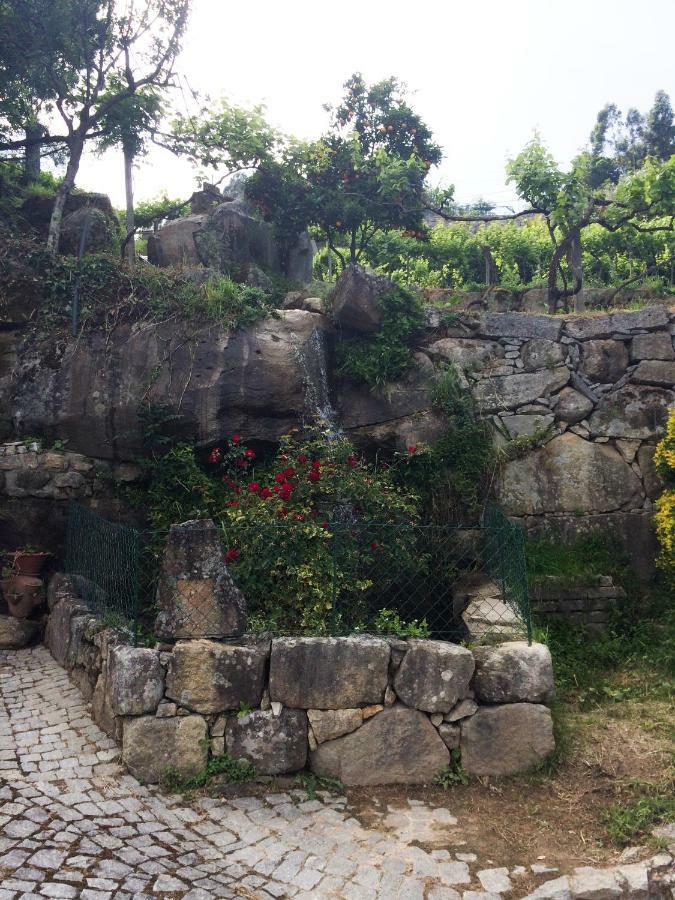 Quinta De Catapeixe Douro River Magrelos ภายนอก รูปภาพ