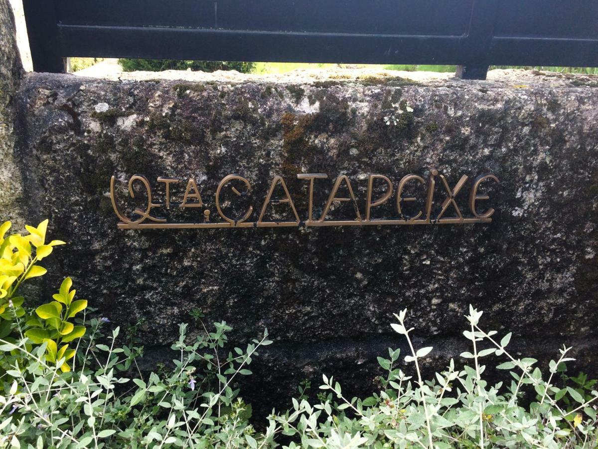 Quinta De Catapeixe Douro River Magrelos ภายนอก รูปภาพ